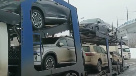 Лиса рулит магазин автомобилей