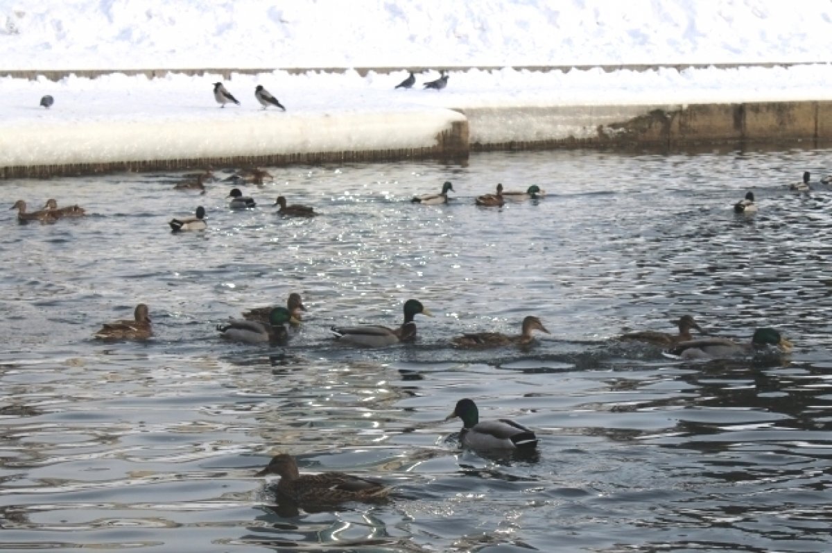    До -30 похолодает в Свердловской области, а затем вновь потеплеет до 0