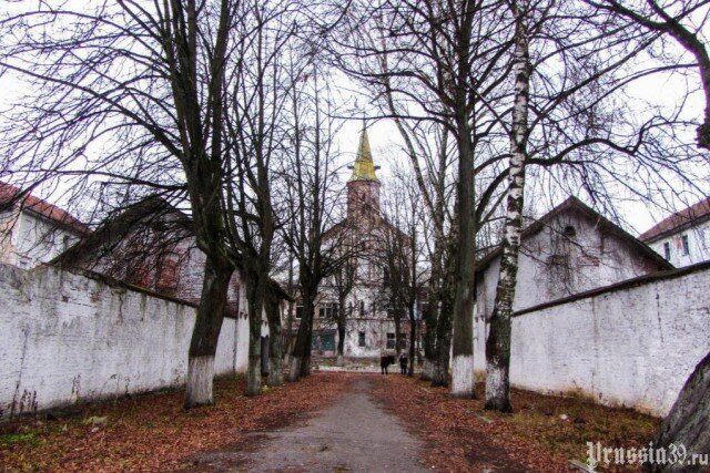   Фото: Prussia39.ru