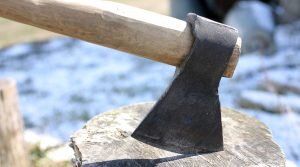    close-up on axe on wood log, rural view Анита Ким