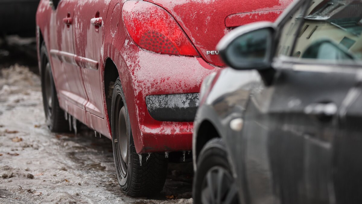    Фото: Jan Woitas/globallookpress.com