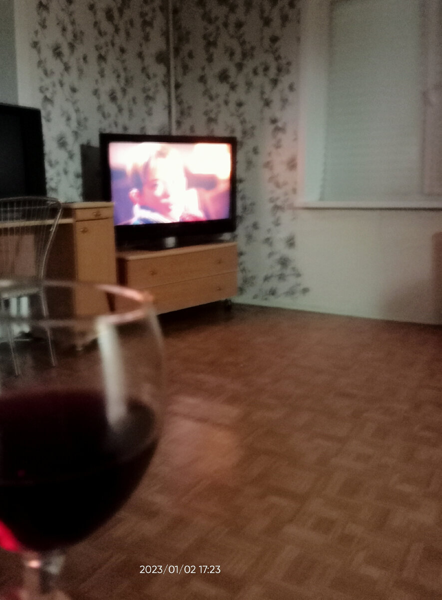 Смотрим " Один дома". Пью вино, которое было в холодильнике.Вино очень вкусное, крымское.  Скоро поедем обратно в основную квартиру, где живём постоянно. 
