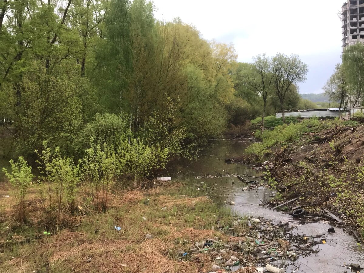 Место Шуваловской свалки в Нижнем Новгороде предлагают превратить в новое  кладбище | Царь-Пушка | Дзен