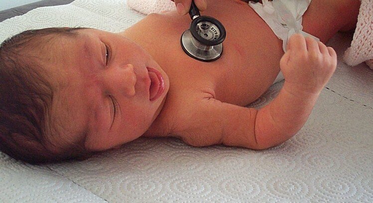 Фото источник: https://ru.wikipedia.org