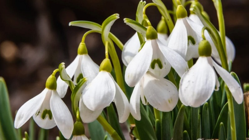 Фото: pxhere.com