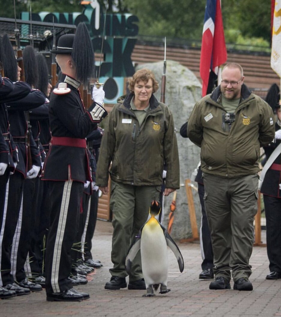 Изображение из свободного источника 