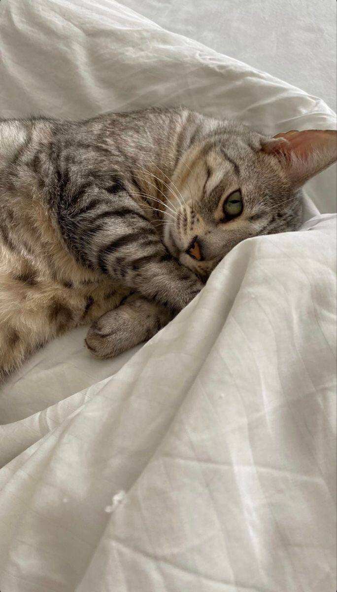 Автор фото: pllllllll