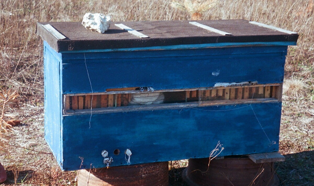 Первый улей на 30 рамок 435 на 460мм.