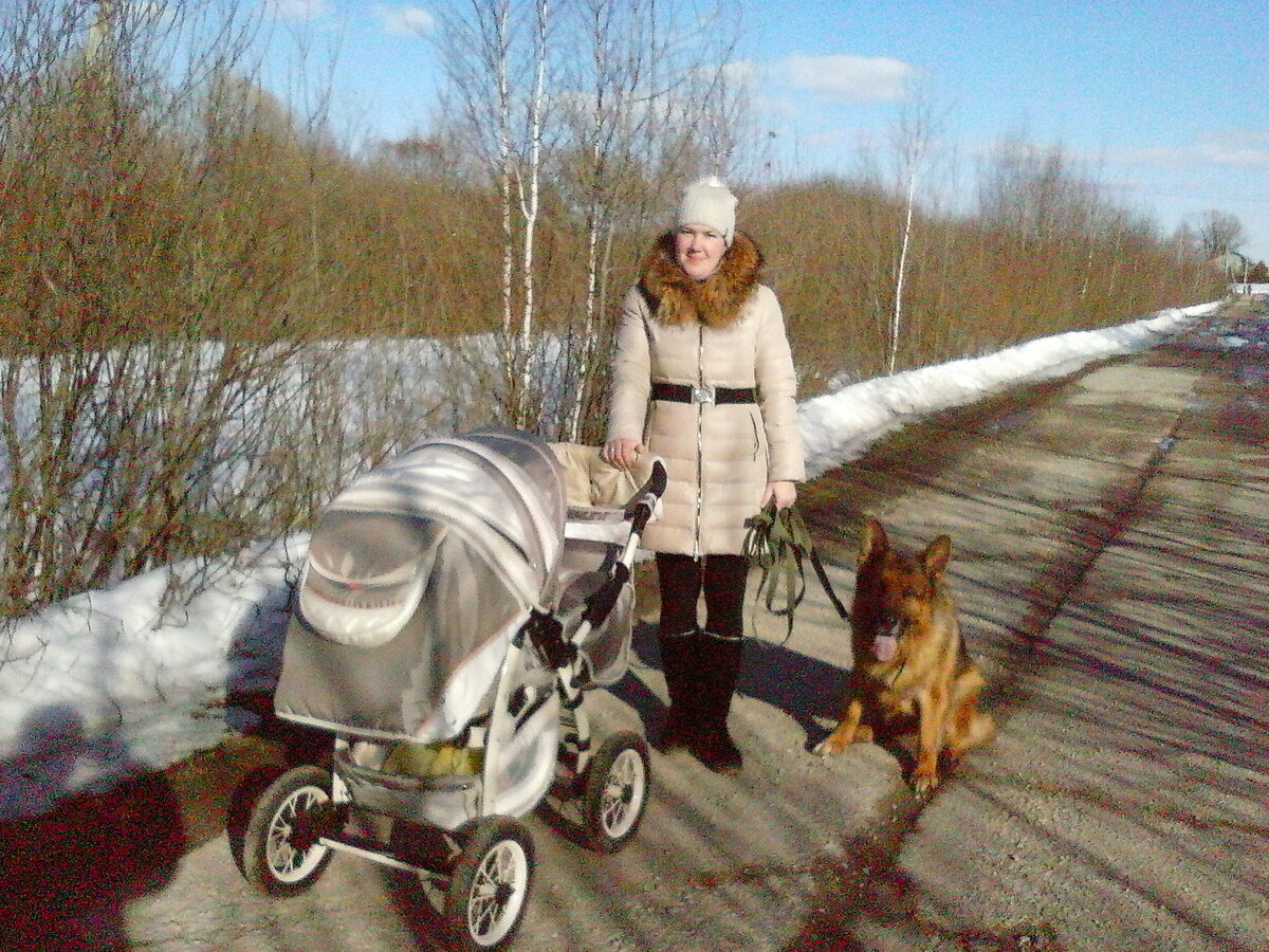 Алиса еще в коляске. А это рядом самый первый пес - Лондон ( БУЧ), правда уже старенький.
