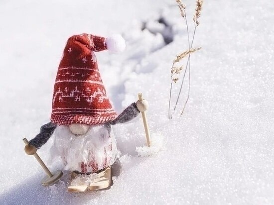     фото: pixabay.com