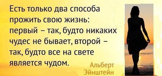 Кто сказал, что чудес не бывает? | Ольга Сергеевна Шинякова | Дзен