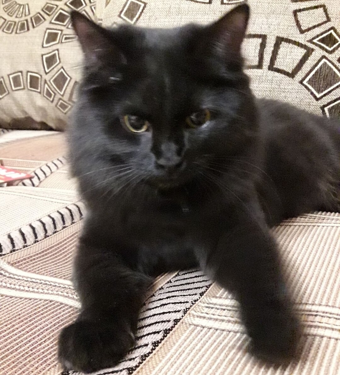 Красотка на даче