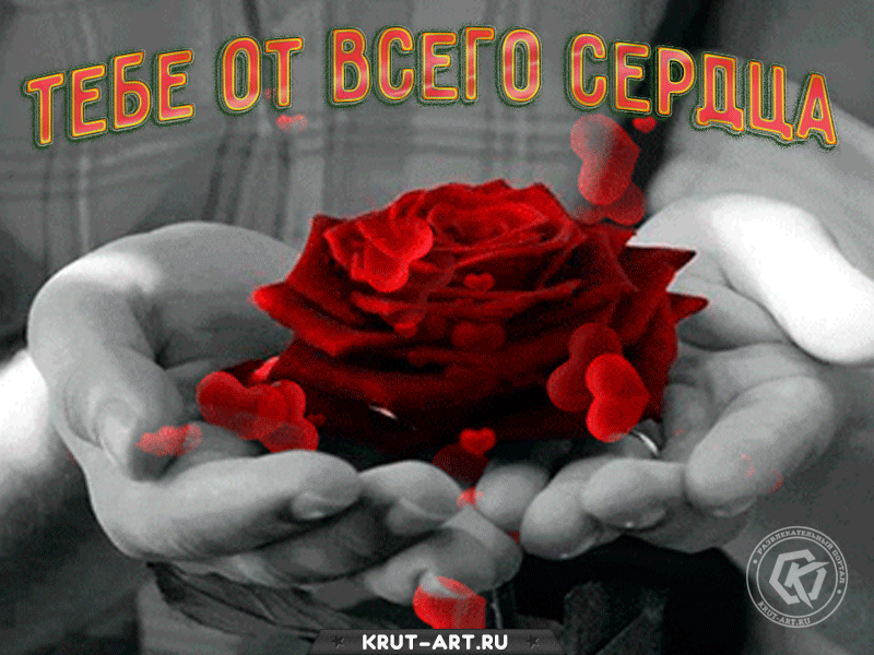 Открытка с розой. На нашей планете есть всем известные семь чудес света. Но я знаю еще одно, о котором еще никто не догадывается. И это ты.