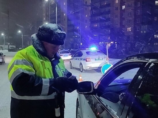     Фото: УМВД России по Томской области