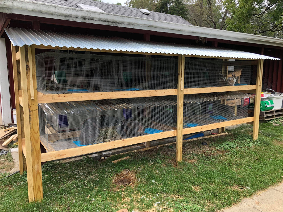 клетка для кроликов