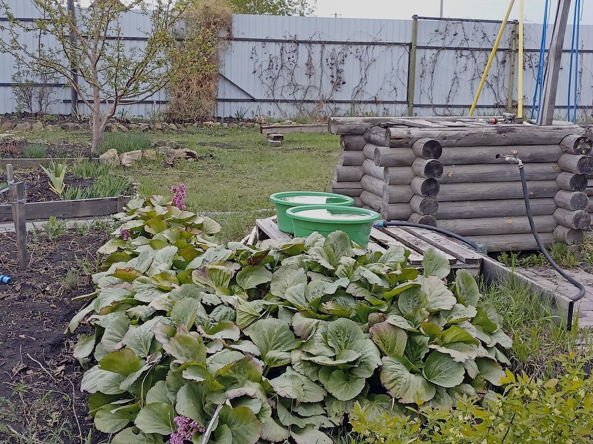 Скважина у нас оформлена в виде колодца