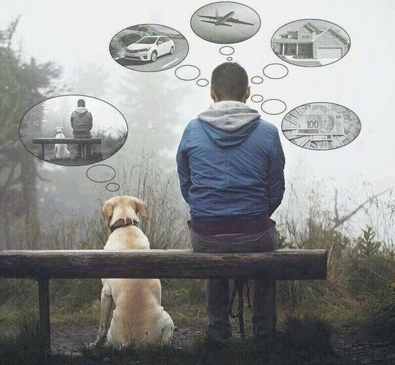 @яндекс.картинки 