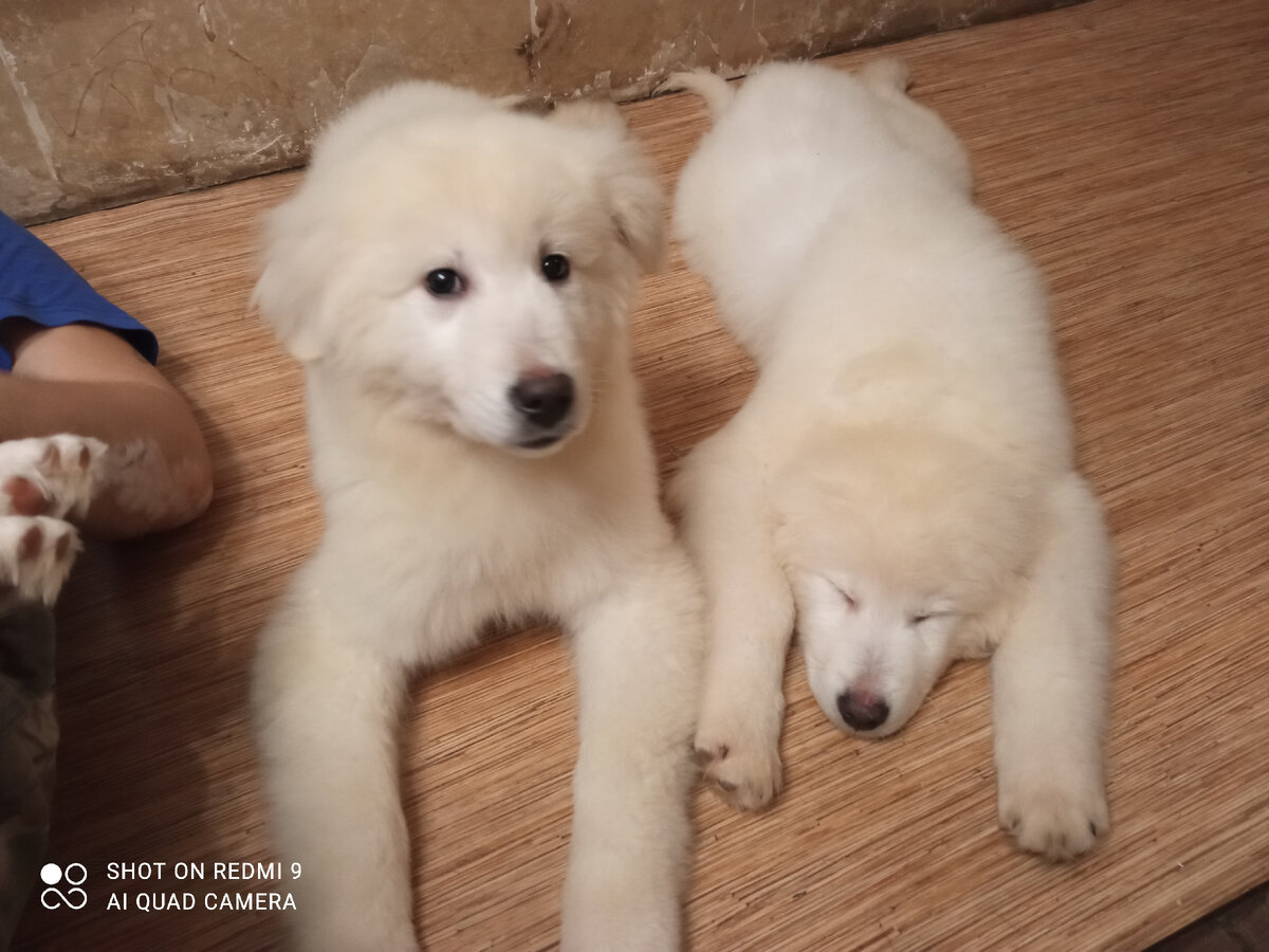 Слева Уфимский парень. 