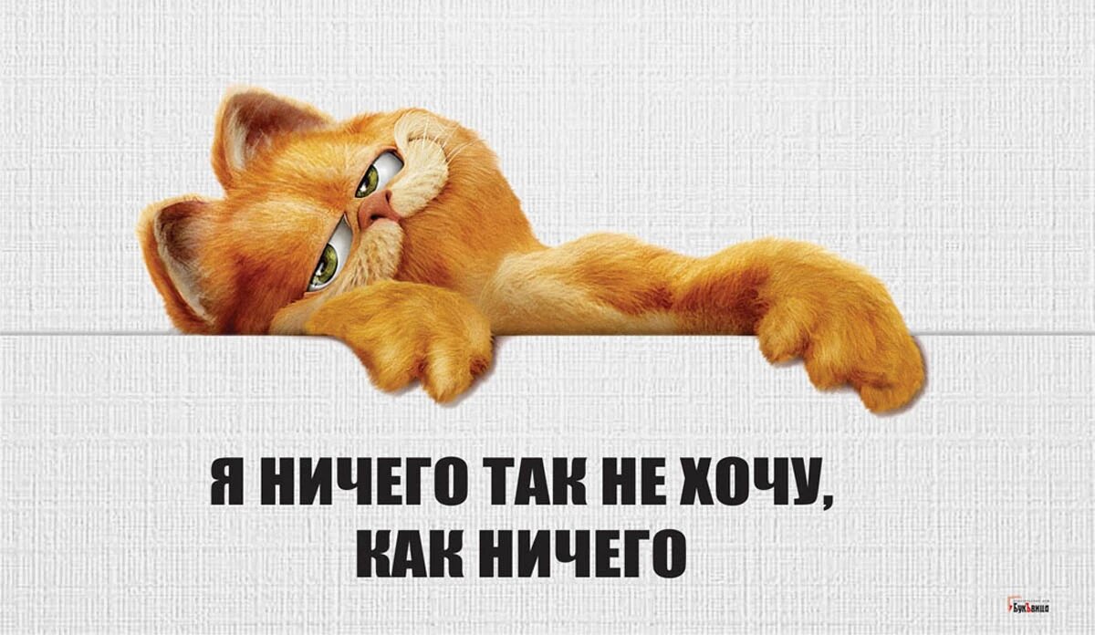 День прошёл число сменилось. Мемы про начальника. Пока одни думают другие делают. Мем кот пора. Как прошел день картинки.