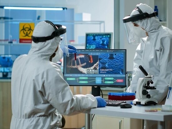     Фото: ru.freepik.com