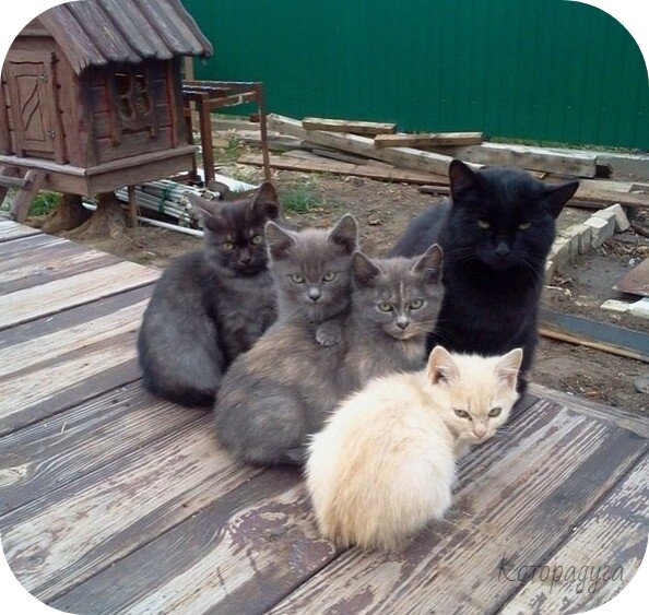 Источник: pinterest.com