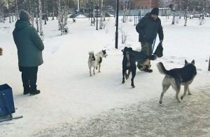    Фото: 2goroda.ru Наталья Анисеева