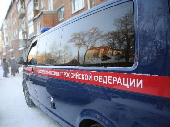     Фото: Густаво Зырянов / МК в Новосибирске