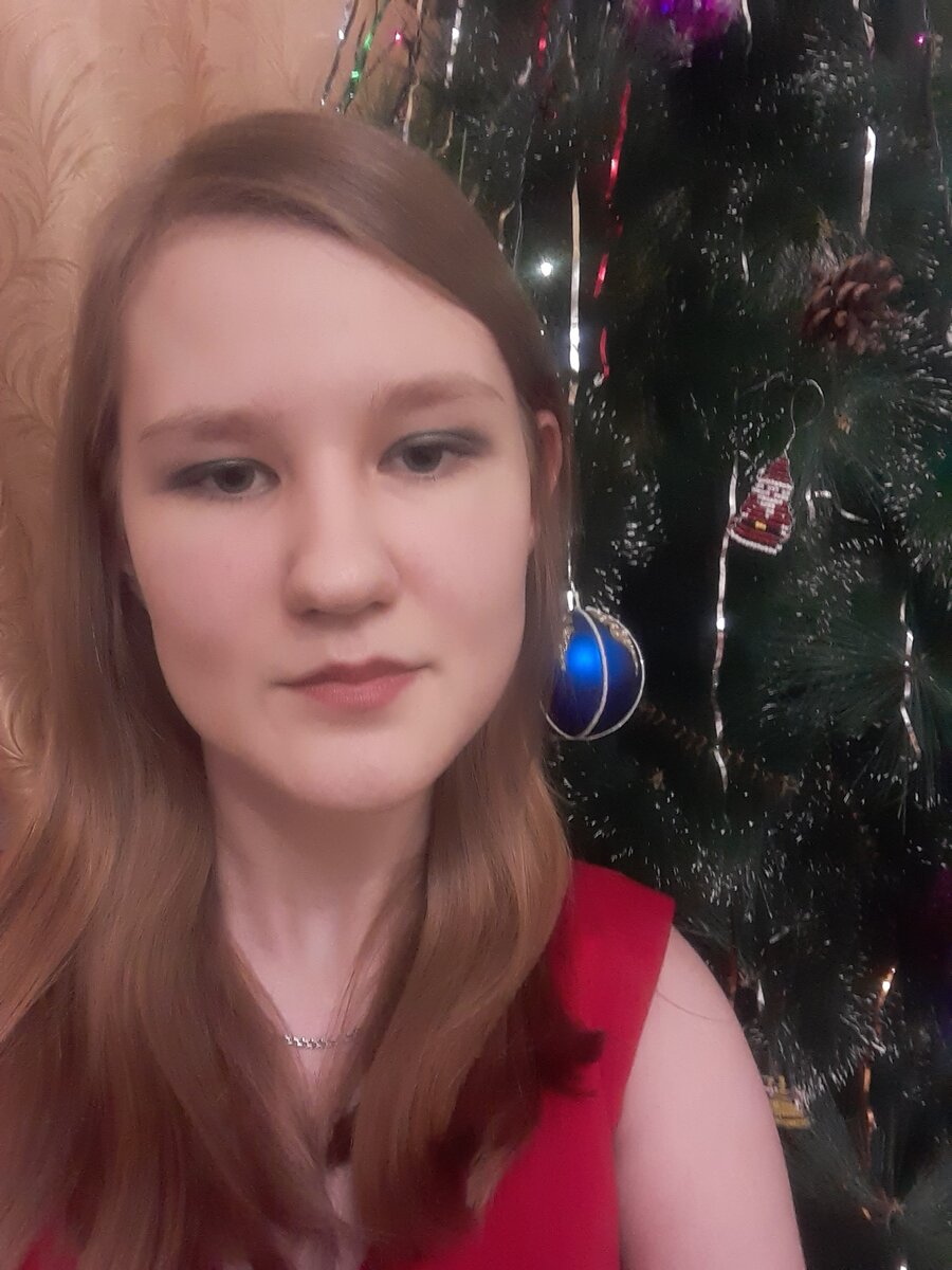 Новый год, ничто не предвещало беды