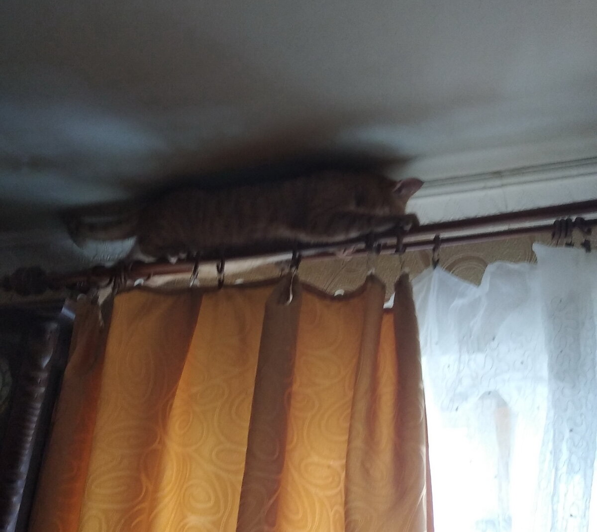 Личное фото.