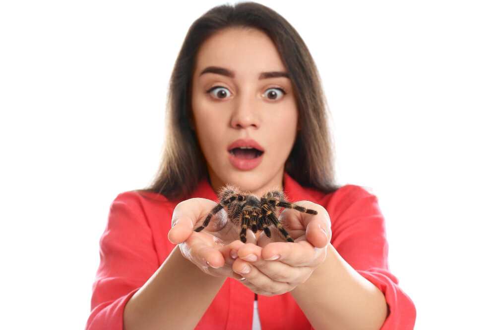 Способы лечения фобий (Источник изображения: freepik.com) 
