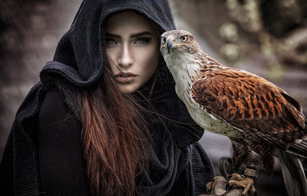 Фото: https://wallpapers.99px.ru/wallpapers/241285/