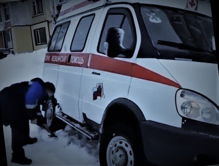 Фото взято из открытого источника.