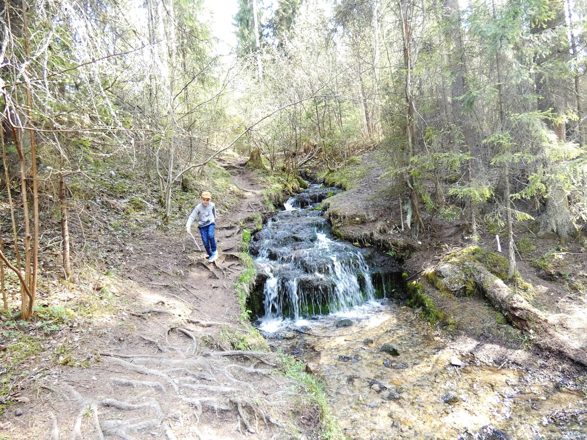 Гремячий ручей в Калужской