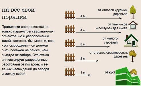 Кто должен делать забор между соседями. Забор между соседними участками. Высота забора между соседними участками. Разрешенная высота забора в СНТ. Высота забора в СНТ.