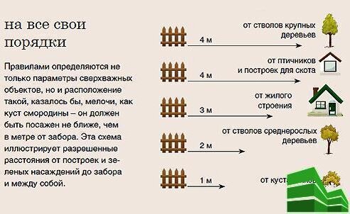 Забор ижс по закону высота. Забор между соседними участками. Высота забора между соседними участками. Разрешенная высота забора в СНТ. Высота забора в СНТ.