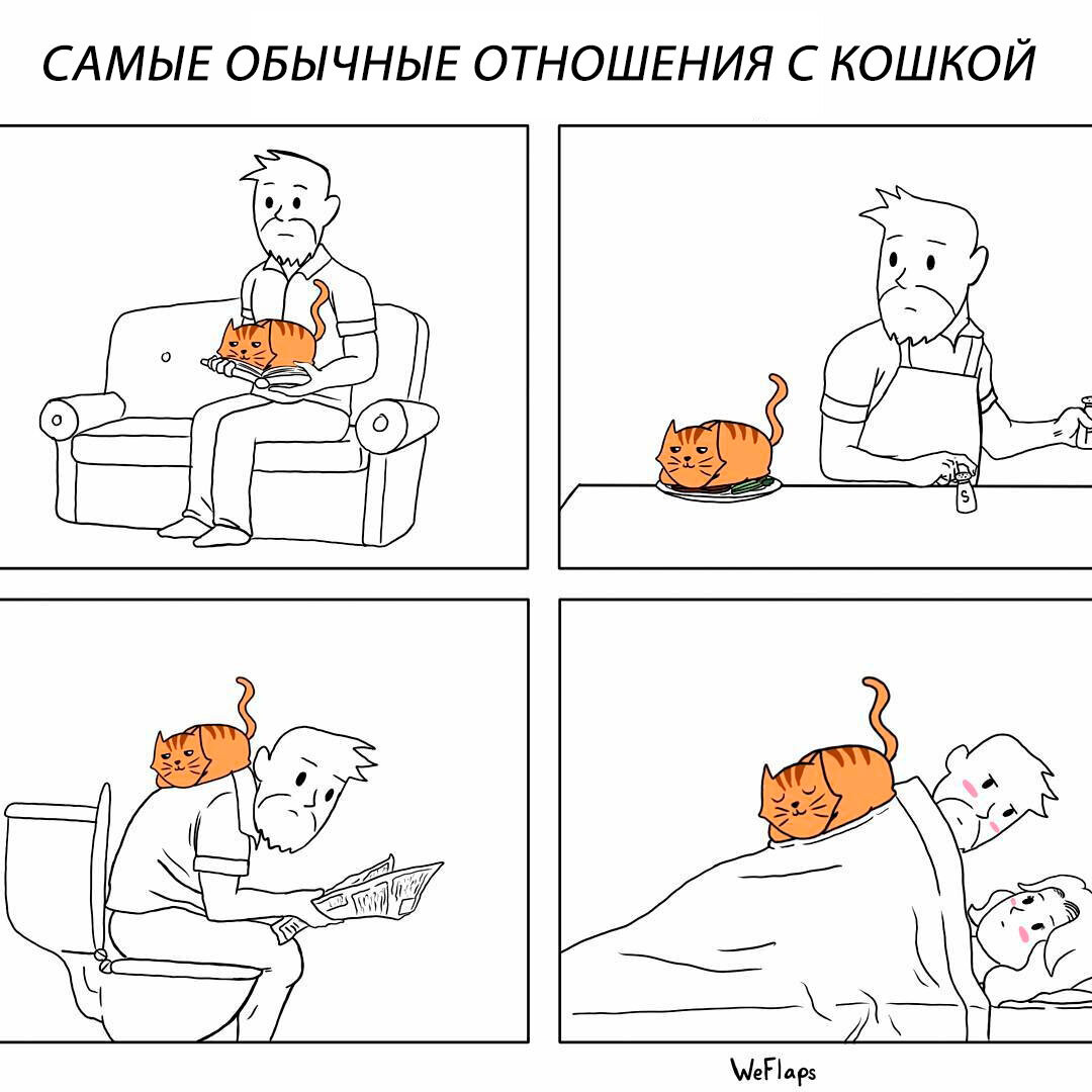 Funny comics. Комиксы про личное пространство. Комиксы про кошку Корал. The Oatmeal комиксы коты. Мемы про личное пространство и кошек.