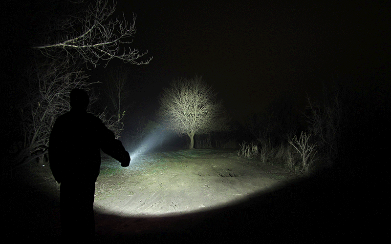 Яма светило. Лес ночью с фонариком. Человек с фонариком. Человек светит фонариком. Фонарики в лесу.