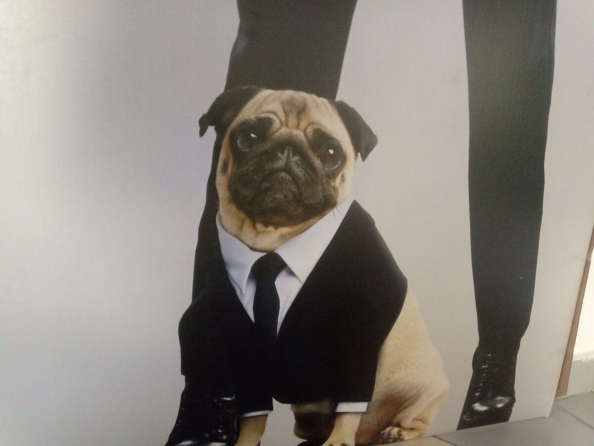 Фрагмент тематической фотозоны "Люди в чёрном: Интернэшнл", фото автора канала