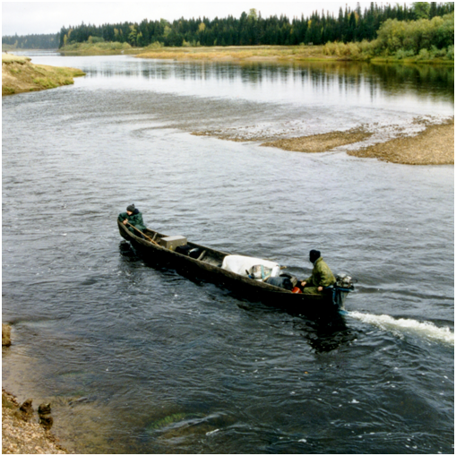 фото прислали друзья