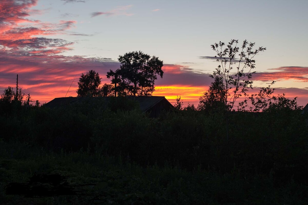 Фото автора.