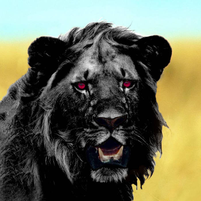 Красивый и необычный, не правда ли? 