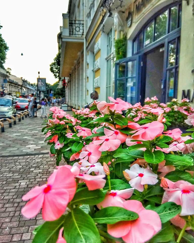 Фото из интернета, который сейчас в Одессе