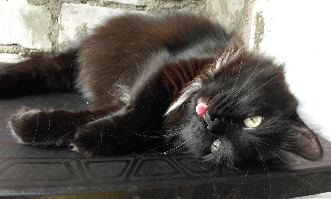 - Да ладно, шучу. Скоро там кормёжка?
