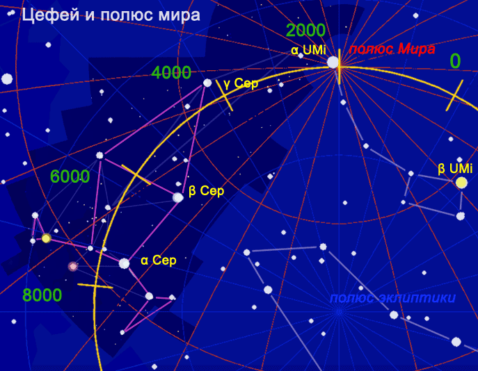 Созвездие цефея схема