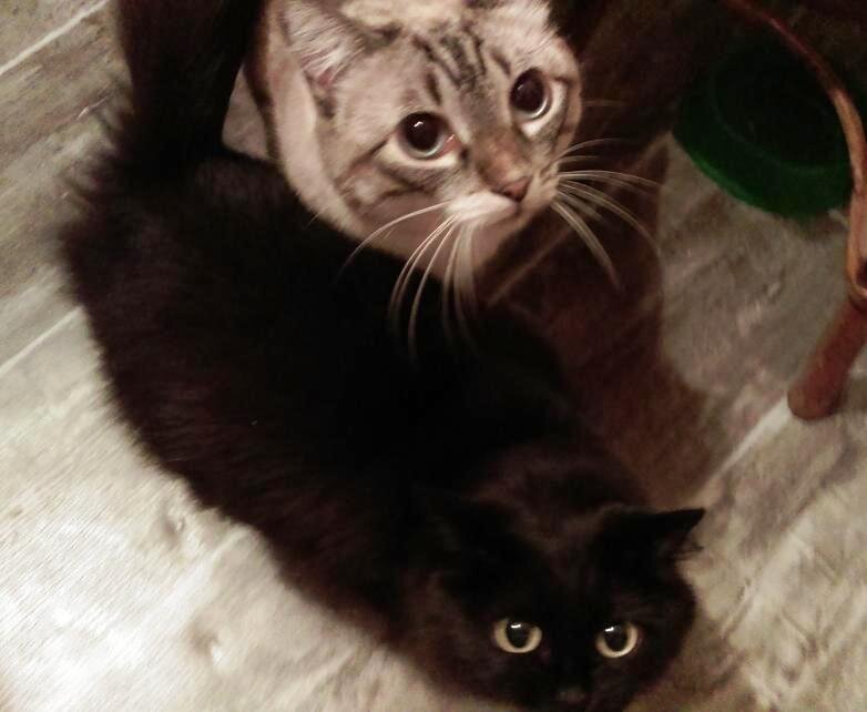 - Давай, сыпь побаще! Потом расскажешь...