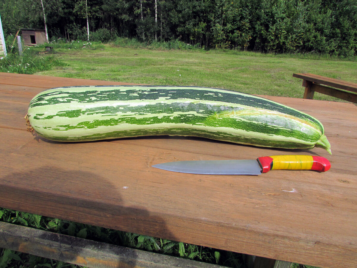 Фото Самогон Саныча