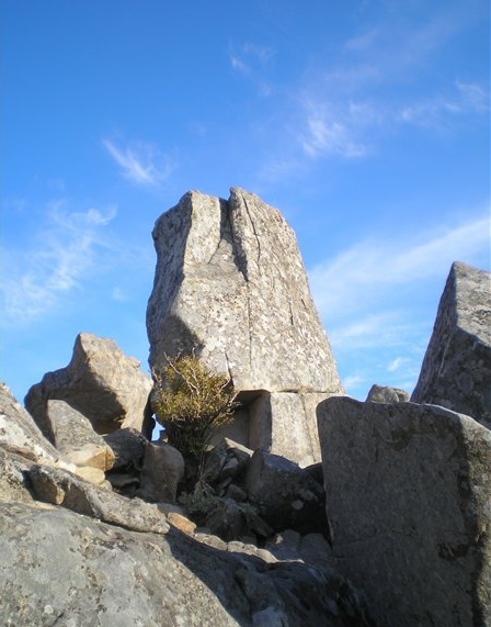 Гора Ливадийская