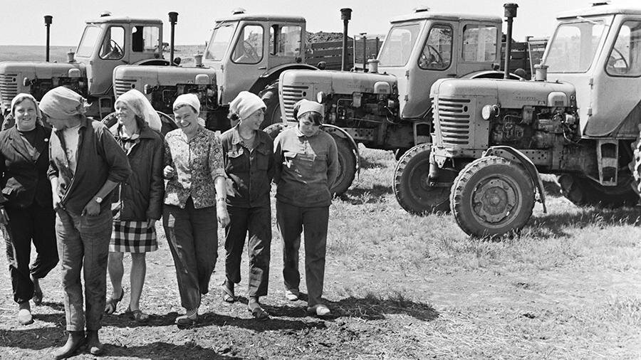 Фото: TACC/Дмитрий Карачун