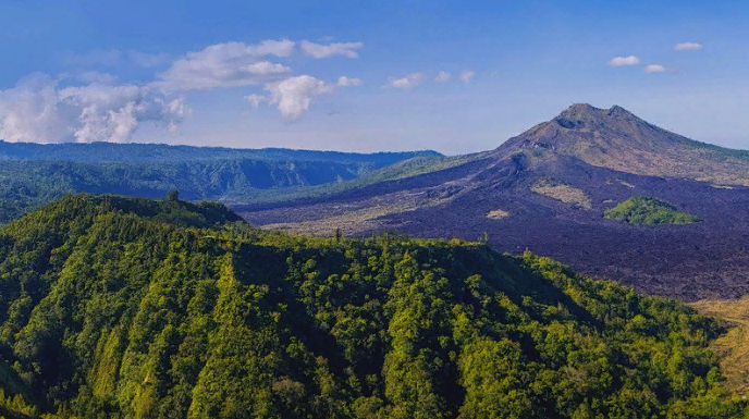 Фото заимствовано