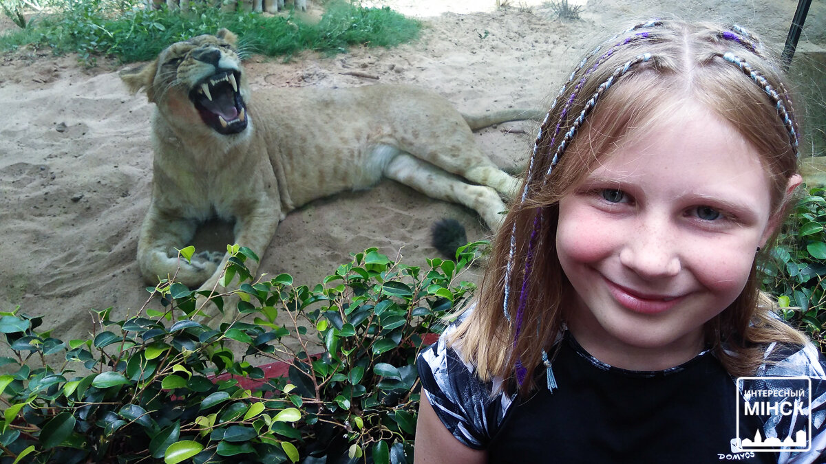 Loro Parque на острове Тенерифе